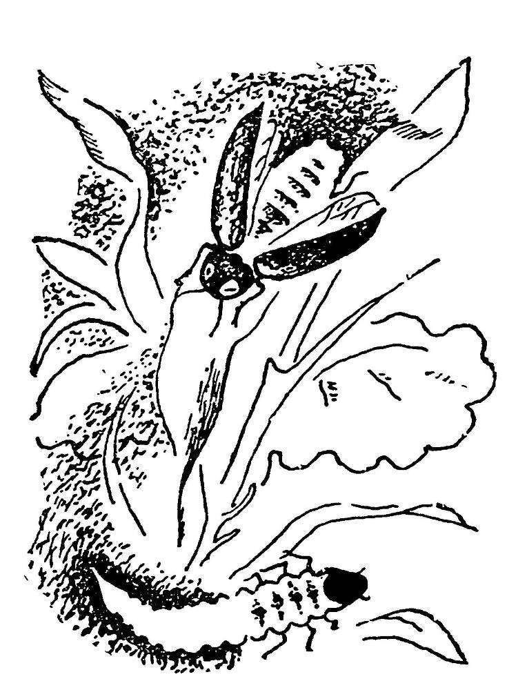 С утра и до вечера - _43.jpg