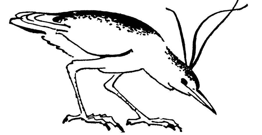 С утра и до вечера - _54.jpg