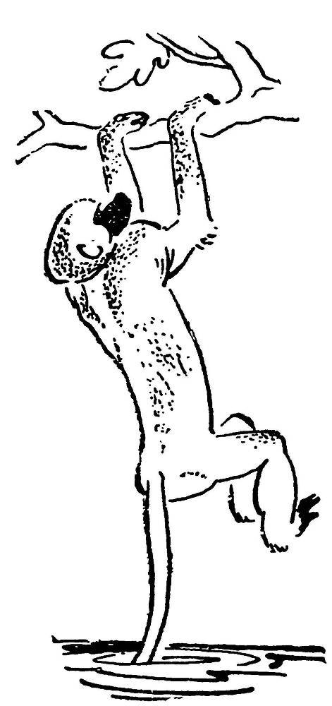 С утра и до вечера - _30.jpg