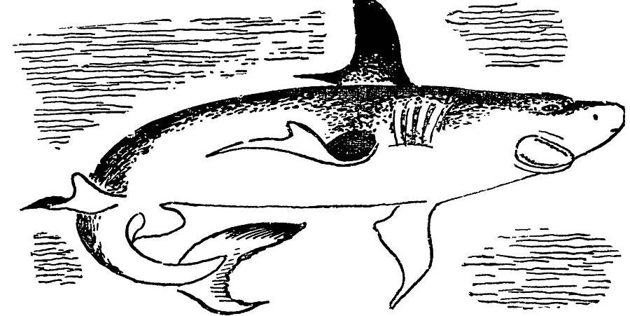 С утра и до вечера - _68.jpg