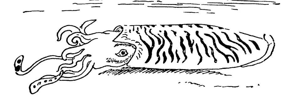 С утра и до вечера - _71.jpg