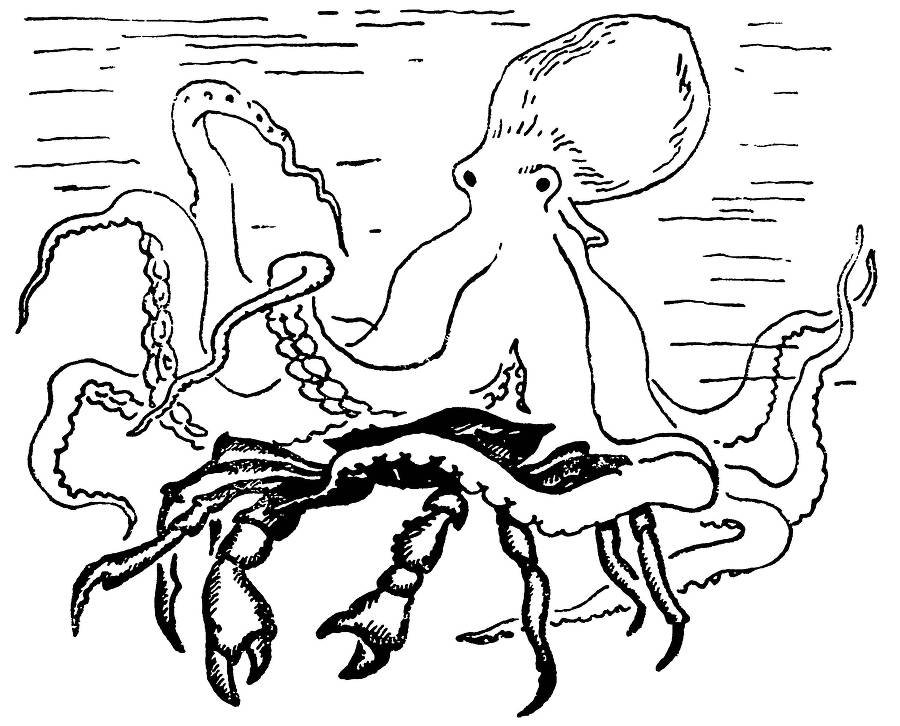 С утра и до вечера - _18.jpg