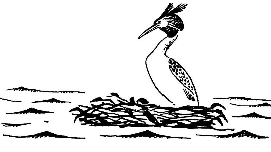 С утра и до вечера - _51.jpg