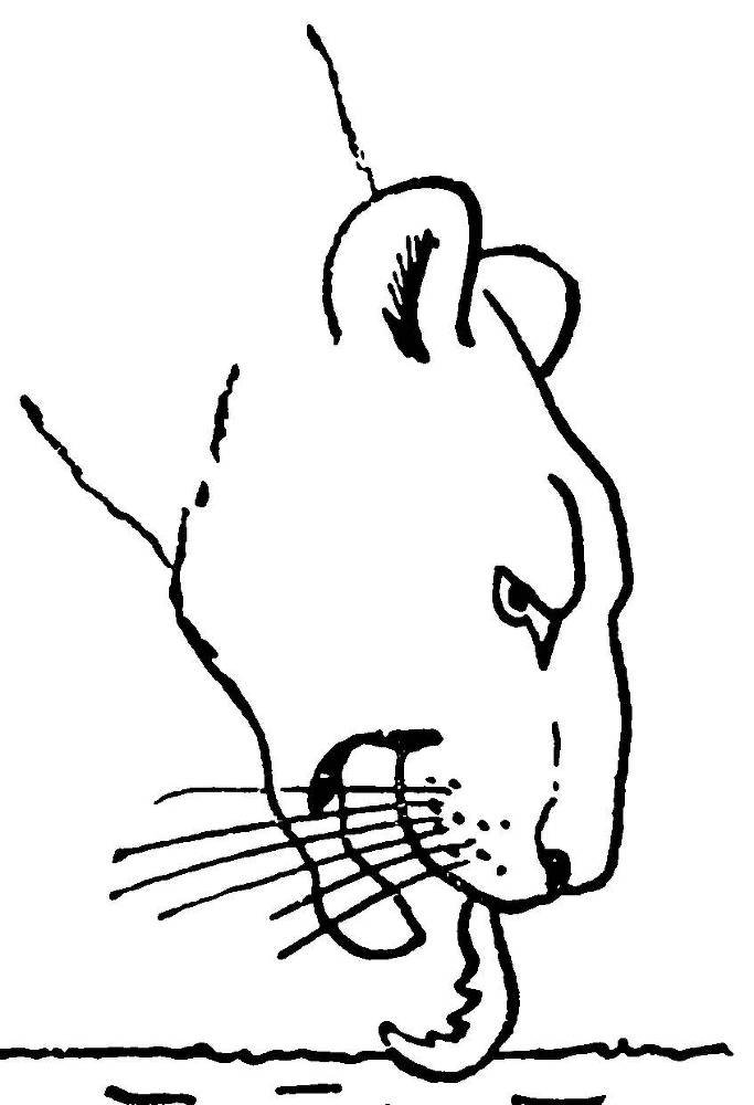 С утра и до вечера - _29.jpg