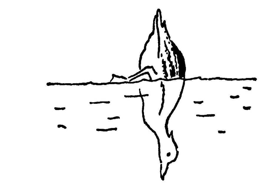 С утра и до вечера - _91.jpg