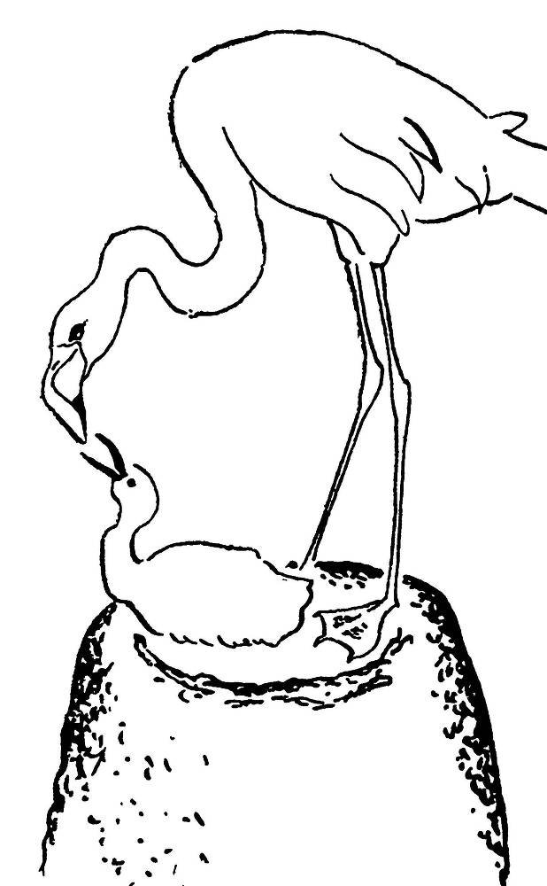 С утра и до вечера - _55.jpg