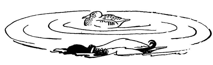 С утра и до вечера - _37.jpg