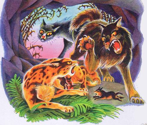 Секреты Племен - pic_168.jpg