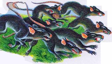 Секреты Племен - pic_348.jpg