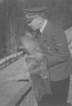 Вторая мировая. 1939–1945. История великой войны - i_025.jpg