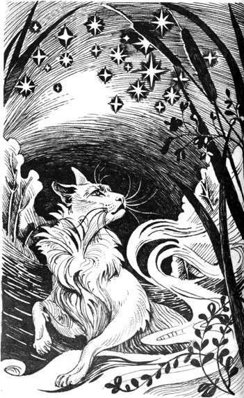 Нерассказанные истории. История Остролистой - pic_10.jpg