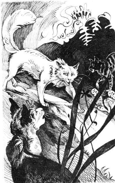 Нерассказанные истории. История Остролистой  - pic_12.jpg