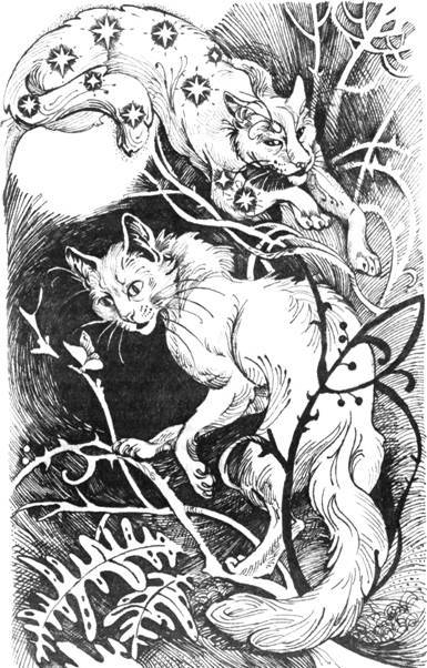 Нерассказанные истории. История Остролистой  - pic_14.jpg