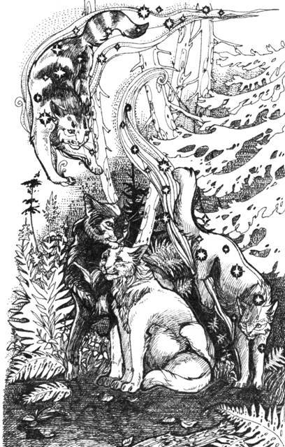 Нерассказанные истории. История Остролистой - pic_16.jpg