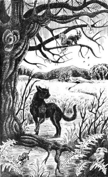 Нерассказанные истории. История Остролистой - pic_6.jpg