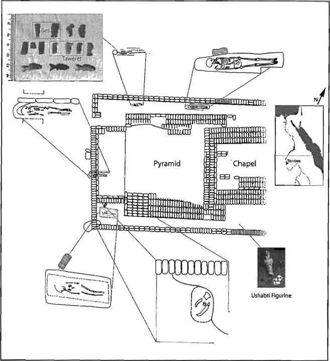 Пыль Египта. Рассказы о мумиях. Том III - image22.jpg