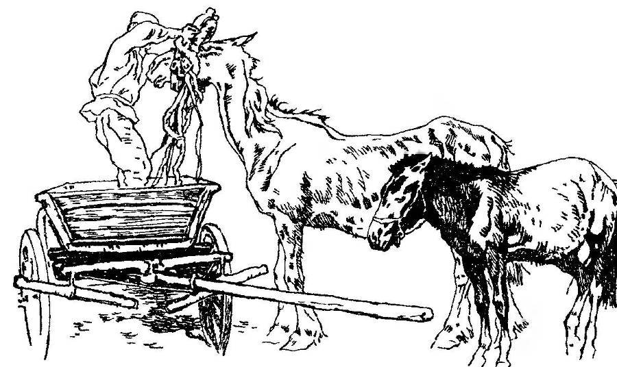 Разбойник и Мишка  - _13.jpg