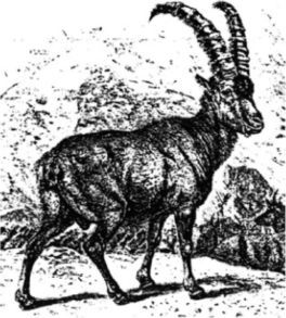 Венеты. Наши давние предки - i_013.jpg