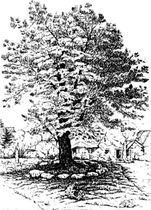 Венеты. Наши давние предки - i_045.jpg