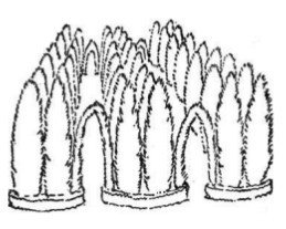 Собрание сочинений в семи томах. Том 5. Путевые очерки - i_091.jpg