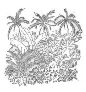 Собрание сочинений в семи томах. Том 5. Путевые очерки - i_093.jpg