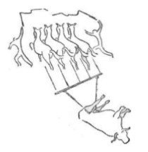 Собрание сочинений в семи томах. Том 5. Путевые очерки - i_103.jpg