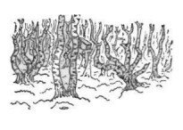 Собрание сочинений в семи томах. Том 5. Путевые очерки - i_223.jpg