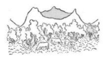 Собрание сочинений в семи томах. Том 5. Путевые очерки - i_224.jpg