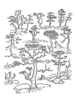 Собрание сочинений в семи томах. Том 5. Путевые очерки - i_241.jpg