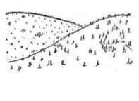 Собрание сочинений в семи томах. Том 5. Путевые очерки - i_270.jpg