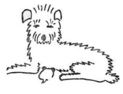 Собрание сочинений в семи томах. Том 6. Рассказы, очерки, сказки - i_102.jpg