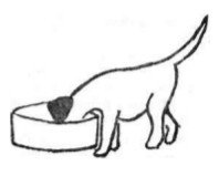 Собрание сочинений в семи томах. Том 6. Рассказы, очерки, сказки - i_110.jpg