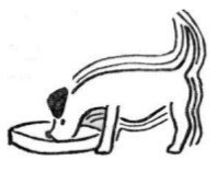 Собрание сочинений в семи томах. Том 6. Рассказы, очерки, сказки - i_113.jpg