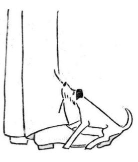 Собрание сочинений в семи томах. Том 6. Рассказы, очерки, сказки - i_119.jpg