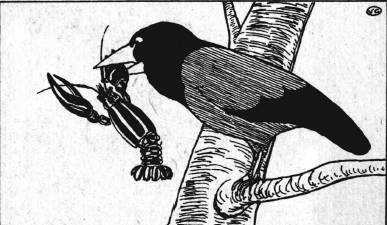 Сказки - картинки.Лисица и заяц. Ворона и рак - _15.jpg