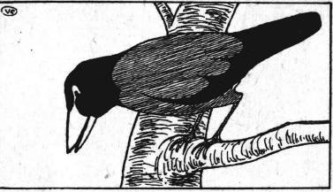 Сказки - картинки.Лисица и заяц. Ворона и рак - _16.jpg