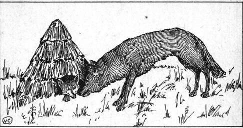 Сказки - картинки.Лисица и заяц. Ворона и рак - _5.jpg