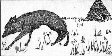 Сказки - картинки.Лисица и заяц. Ворона и рак - _6.jpg