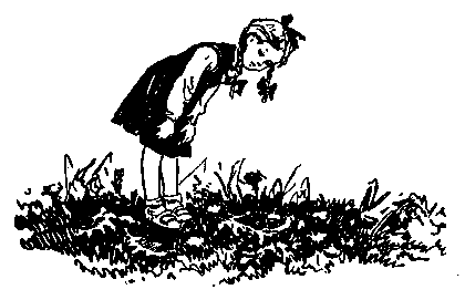 Живые фонарики - pic_3.png