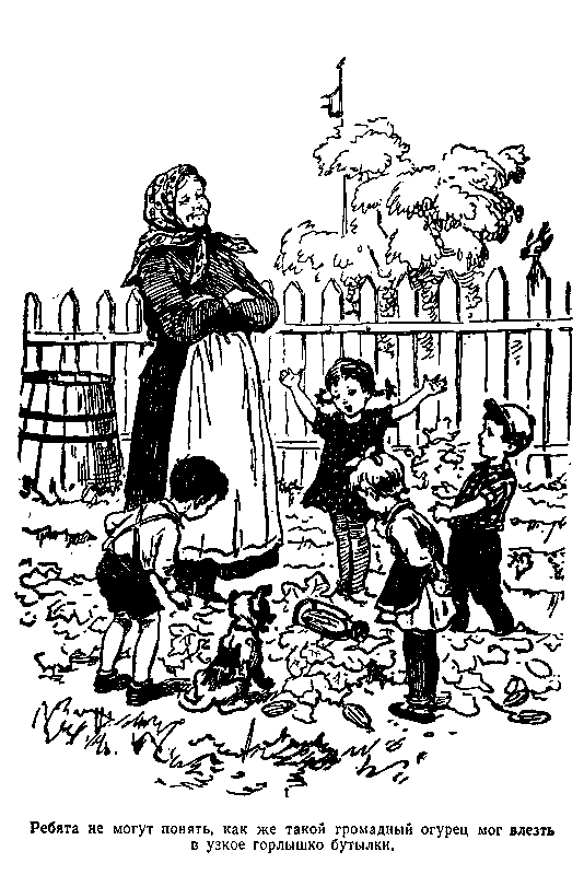 Живые фонарики - pic_6.png