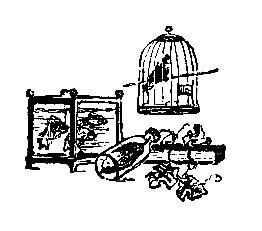 Живые фонарики - pic_7.png