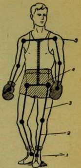 Быстрота в боксе - _10.jpg