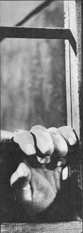 Комики мирового экрана - _210.jpg