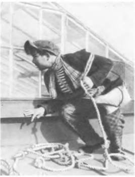 Комики мирового экрана  - _126.jpg