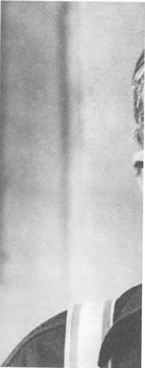 Комики мирового экрана - _199.jpg