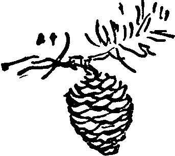 Серебряное слово. Тарасик - i_009.png