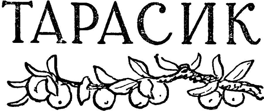 Серебряное слово. Тарасик - i_010.png