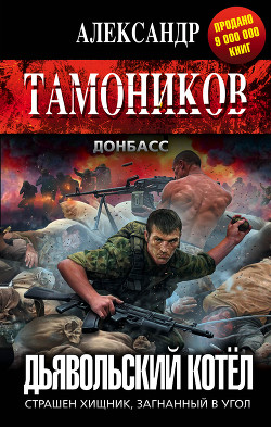 Книга Дьявольский котёл