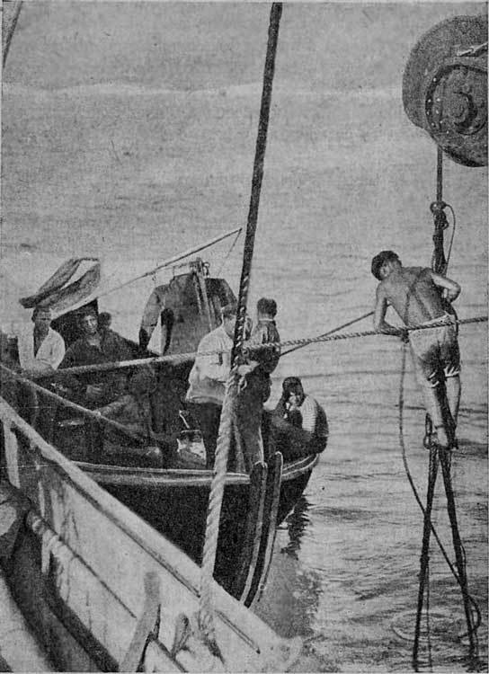 Водолазы - w_12.jpg