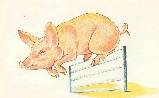 В зверинце Дурова - _5.jpg